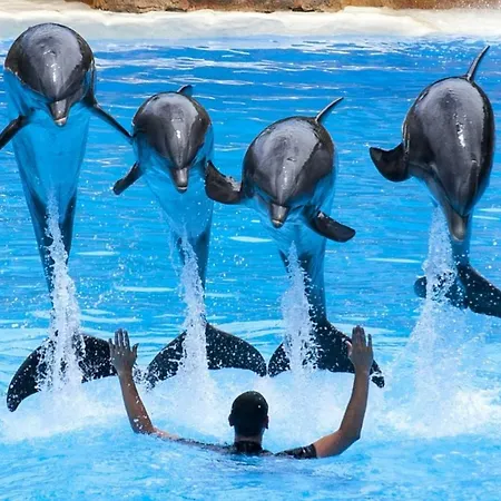 アパート Azahara 413 *