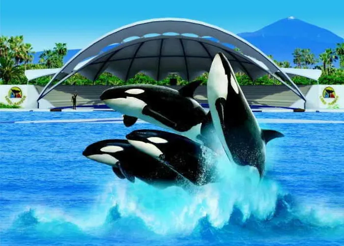 アパート Azahara 413 *